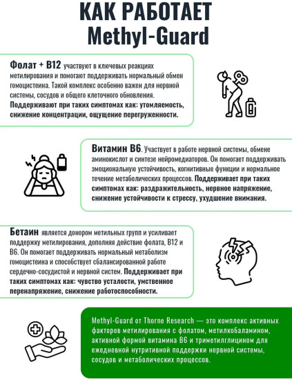 Фолиевая кислота от гомоцистеина Methyl-Guard