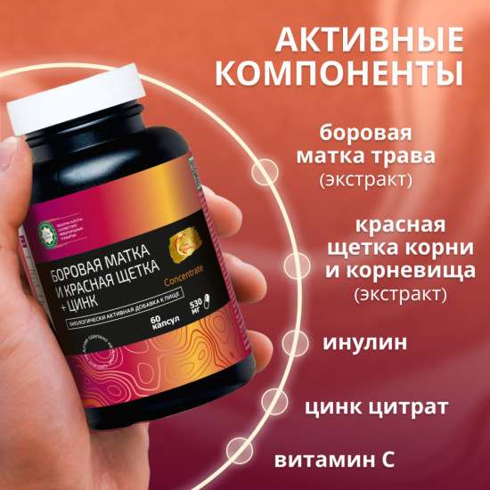 Концентрат Боровая Матка и Красная Щетка + Цинк+витамин С+ Инулин для женского здоровья.