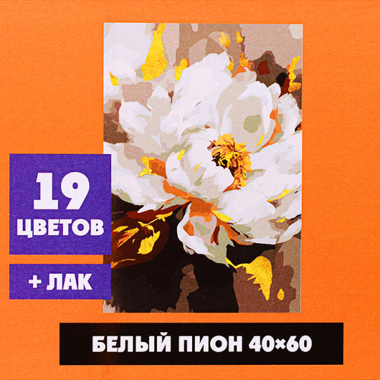 Картина по номерам «Белый пион»