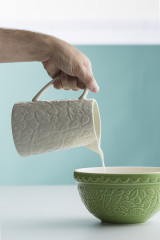 Кувшин «In the Forest Fox» - Фото 2