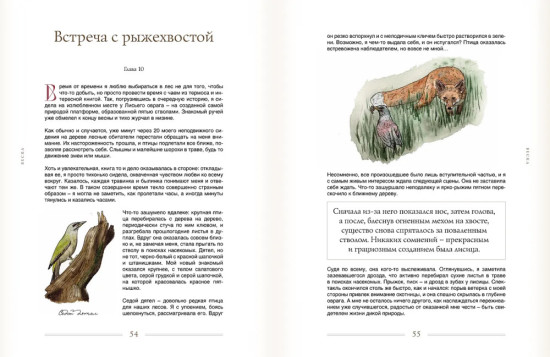За руку с лесом.Жизнь в ритме природы,янтарный мед и деревенское крыльцо