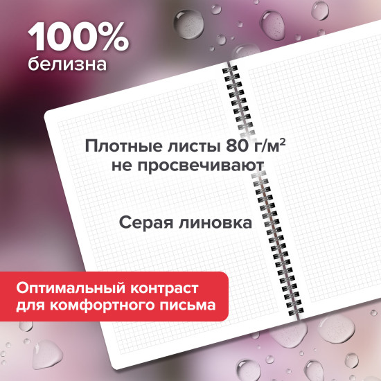 Тетради