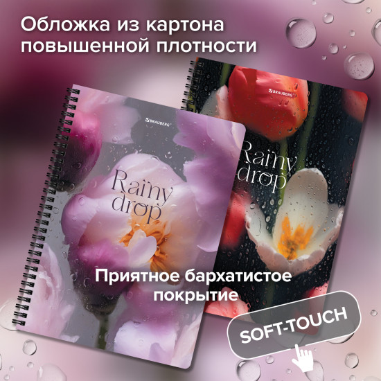 Тетради
