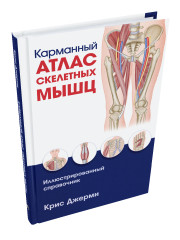 Карманный атлас скелетных мышц. Иллюстрированный справочник - Фото 1