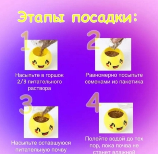 Набор для выращивания травы «Смайлик»