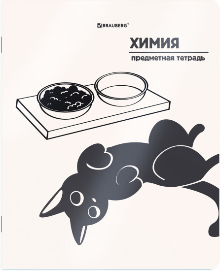Тетради предметные