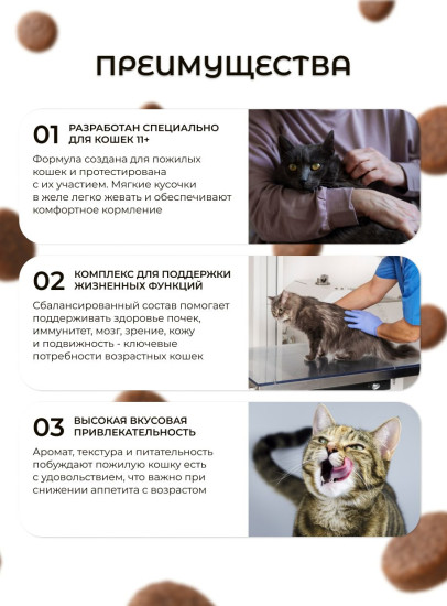 Набор кормов для пожилых кошек старше 11 лет в соусе «Ageing 11+»