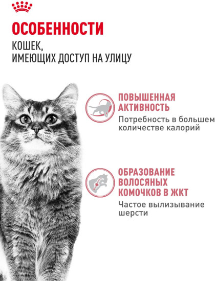 Корм сухой для активных кошек, имеющих доступ на улицу «Fit 32»