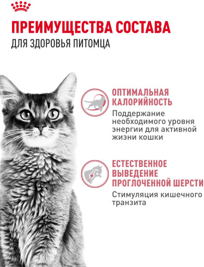 Корм сухой для активных кошек, имеющих доступ на улицу «Fit 32»