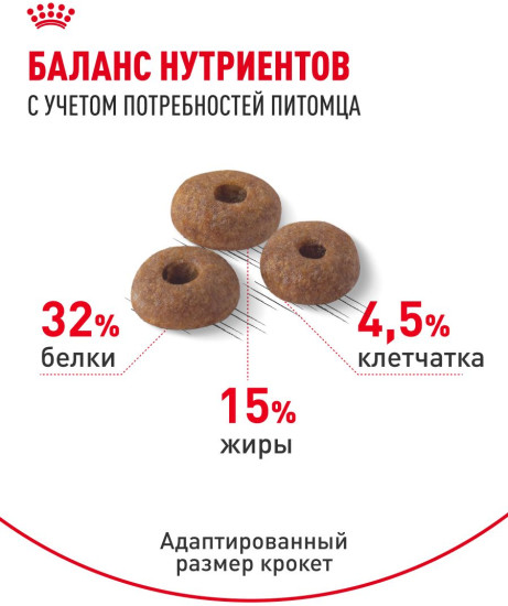 Корм сухой для активных кошек, имеющих доступ на улицу «Fit 32»