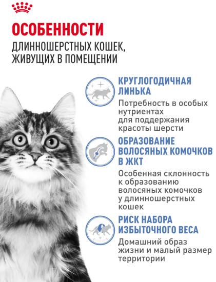 Сухой корм для взрослых длинношерстных кошек, живущим в помещении «Indoor Long Hair»