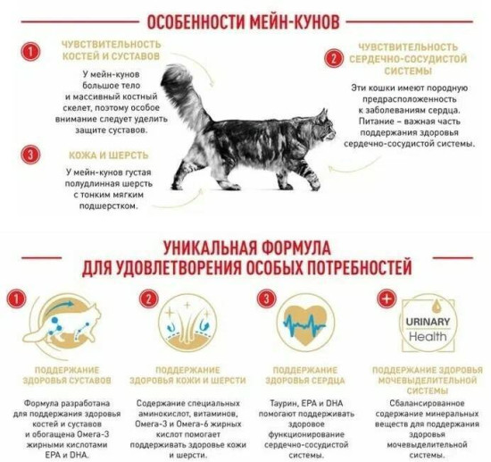 Корм для кошек породы мейн-кун «Adult Maine Coon»