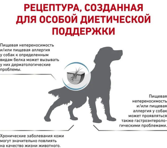 Корм для собак при пищевой аллергии
