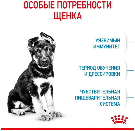 Корм для для щенков крупных пород «Maxi Puppy»