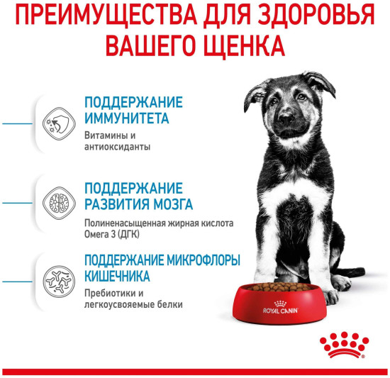 Корм для для щенков крупных пород «Maxi Puppy»