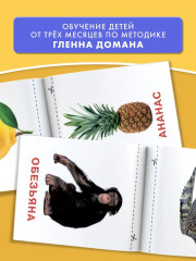 Развивающие карточки Домана для малышей. Комплект из 6 книг - Фото 1