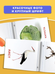 Развивающие карточки Домана для малышей. Комплект из 6 книг - Фото 2