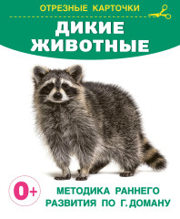 Развивающие карточки Домана для малышей. Комплект из 6 книг - Фото 5