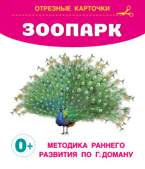 Развивающие карточки Домана для малышей. Комплект из 6 книг - Фото 6