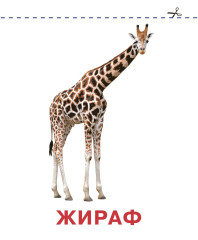 Развивающие карточки Домана для малышей. Комплект из 6 книг - Фото 12