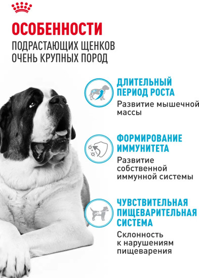 Сухой корм для щенков крупных пород «Giant Junior»