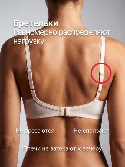 Бюстгальтер