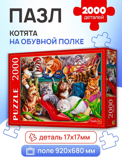 Котята на обувной полке