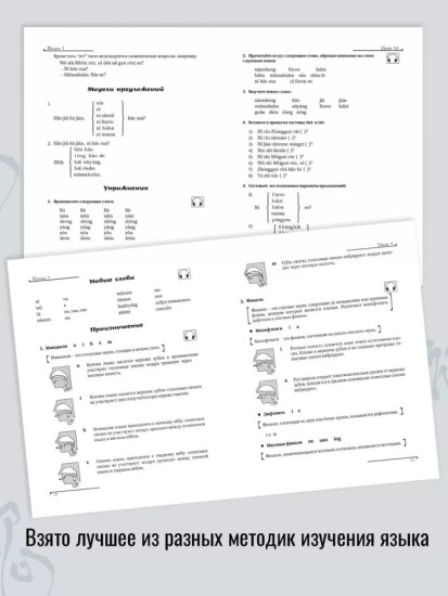 Китайский язык. Вводный курс. HSK 1