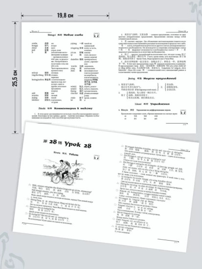 Китайский язык. Вводный курс. HSK 1