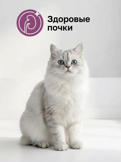Корм для профилактики почечной недостаточности у кошек «Renal»