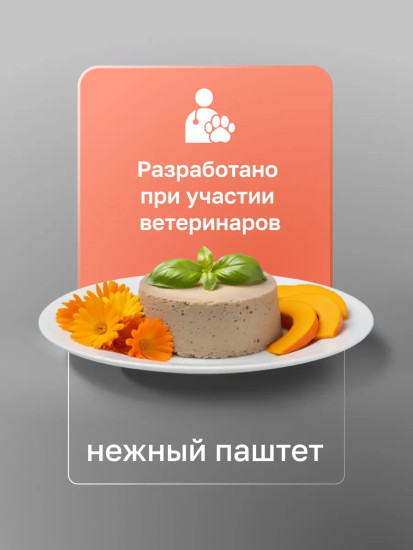 Корм для кошек и собак при анорексии, в период выздоровления и послеоперационного восстановления