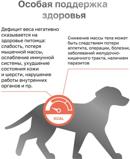 Корм для кошек и собак при анорексии, в период выздоровления и послеоперационного восстановления