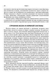 Применение нейронауки в терапии травм. Креативное и сострадательное консультирование - Фото 6