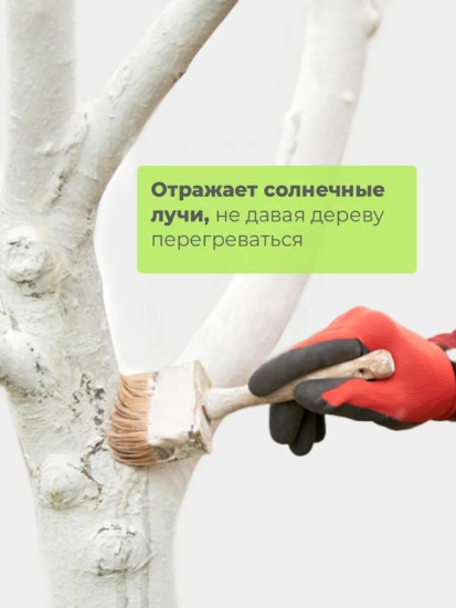 Краска «Садовый лекарь»