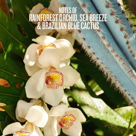 Парфюмированный спрей для тела и волос «Refresco Paraíso Perfume Mist Limited Edition»