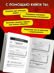 Японский на максималках. Авторский курс от основателя самой популярной школы японского языка в СНГ - Фото 4