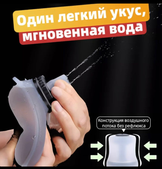 Бутылка