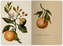 Тетрадь «Flora. Paradise. Oranges» - Фото 1