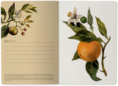 Тетрадь «Flora. Paradise. Oranges» - Фото 3