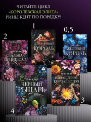 Черный рыцарь - Фото 5
