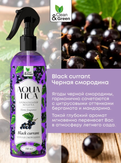 Ароматизатор воздуха «Черная смородина»