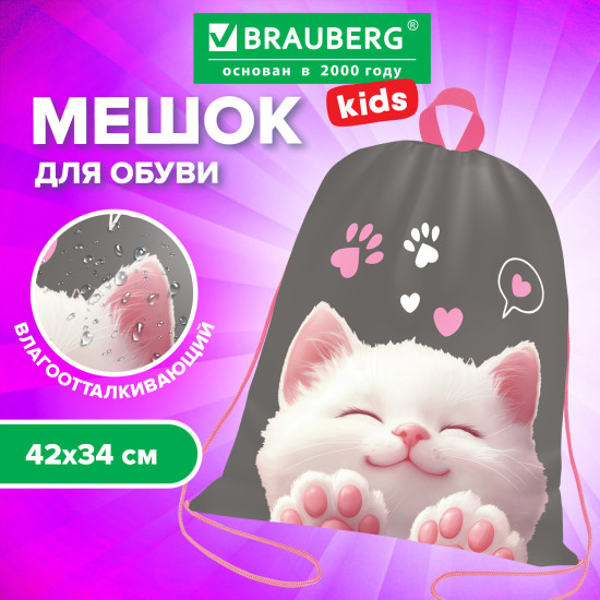 Мешок для обуви KIDS, с петлей, 42×34 см, «Кот-мурлыка», 274640