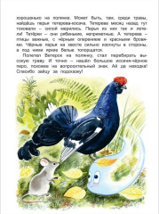 Кто перышко потерял? - Фото 4