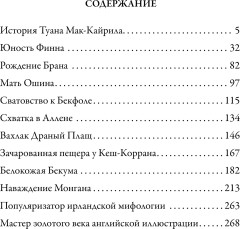 Ирландские предания. Свыше 30 иллюстраций Артура Рэкхема - Фото 8
