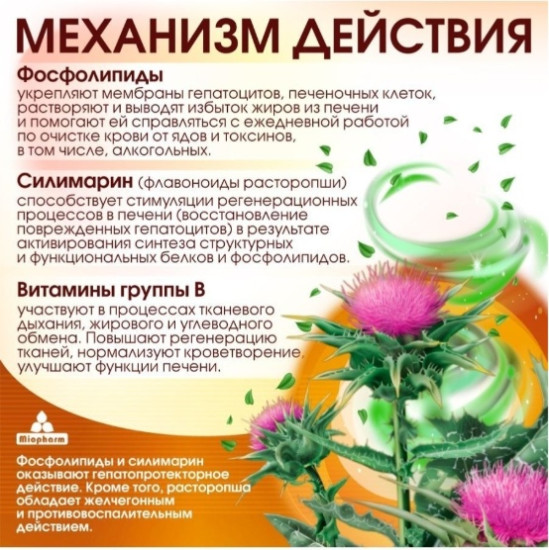 Расторопша + Лецитин + Силимарин Milk Thistle + Lecithin + Silymarin Эссфоль Форте 90 капсул Миофарм, детокс, БАД гепатопротектор для печени с витаминами группы B, эссенциальные фосфолипиды