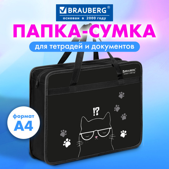 Папка на молнии с ручками А4, 1 отделение, 80 мм, «Кот с характером», 274493