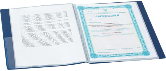 Папка файловая