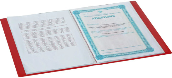 Папка файловая
