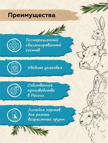 Набор влажного корма для котят с индейкой