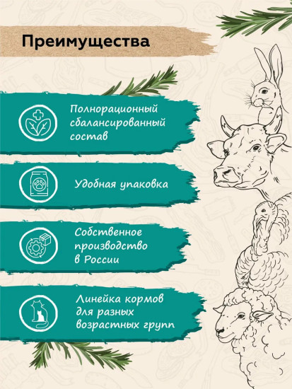 Набор влажного корма для котят с ягненком